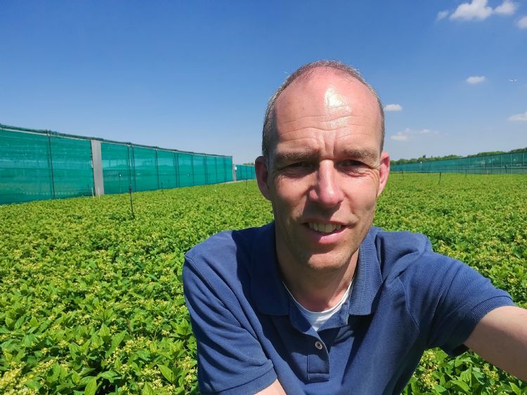 Wilco Dorresteijn (Delphy): 'Van de meeste klanten die Alibi Flora dit jaar hebben toegepast, heb ik positieve feedback gekregen.' Wilco Dorresteijn (Delphy): 'Van de meeste klanten die Alibi Flora dit jaar hebben toegepast, heb ik positieve feedback gekregen.'