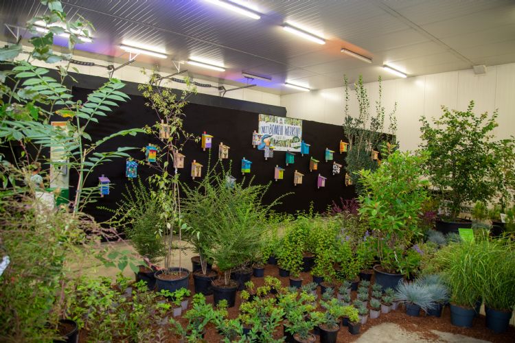 Foto: Vakbeurs Groot Groen Plus