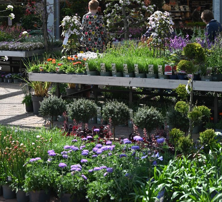 Tafel met wilde en inheemse planten Tafel met wilde en inheemse planten