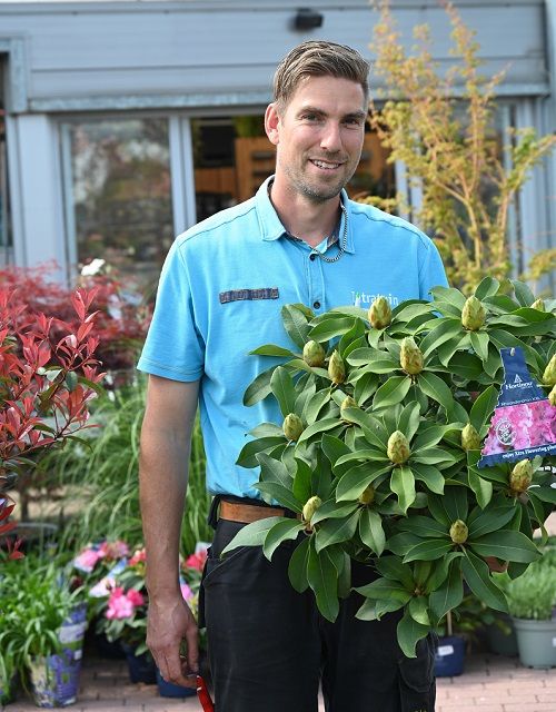 Bas Dijkstra Bas Dijkstra