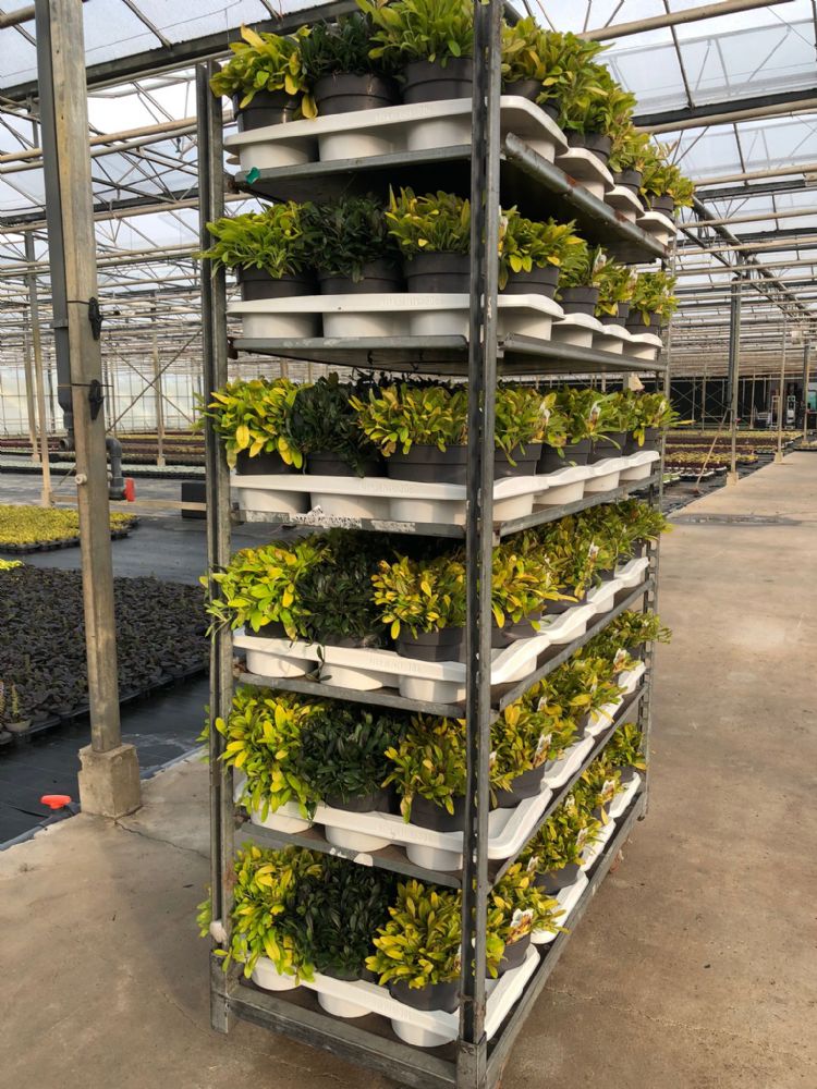 Mix van Feathered Friends op CC Mix van Feathered Friends op CC