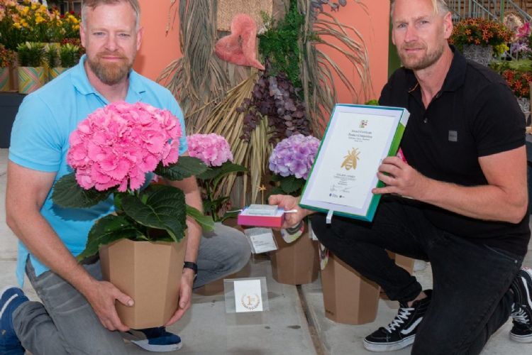 Prijsuitreiking: de winnaar is Hydrangea ‘Fusion-Raspberry' van Perlanova uit Zevenhuizen