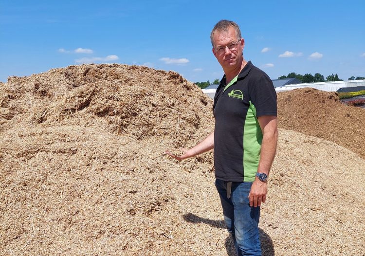 Joost Sterke bij de <i>Miscanthus</i> Joost Sterke bij de <i>Miscanthus</i>