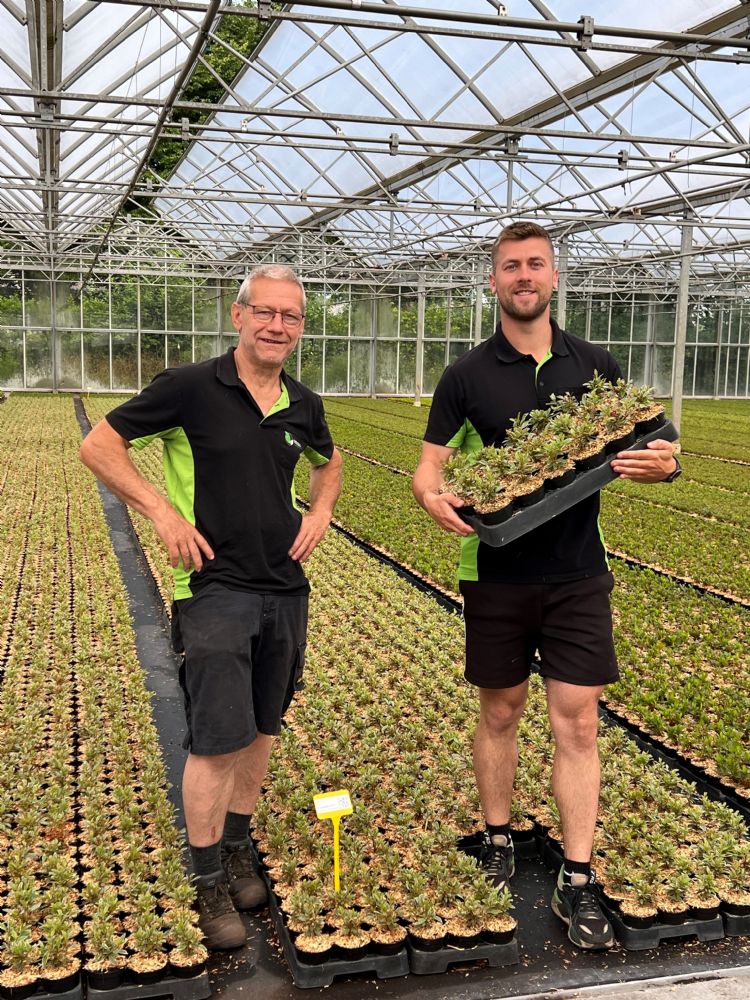 Maarten (l) en Merijn Bloemen: '<i>Miscanthus</i> blijft goed liggen op de P9.' Maarten (l) en Merijn Bloemen: '<i>Miscanthus</i> blijft goed liggen op de P9.'