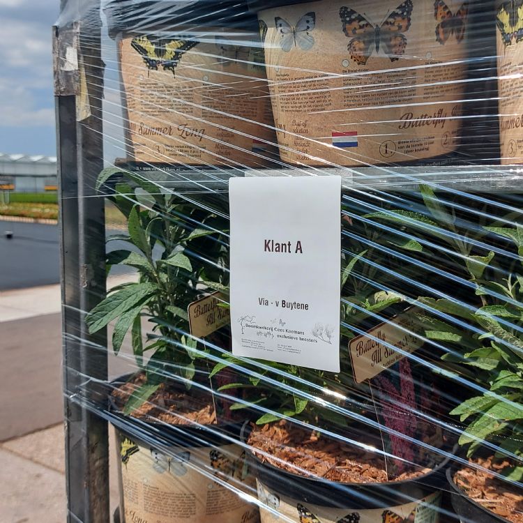 De karlabel is ook onmisbaar bij de kweker De karlabel is ook onmisbaar bij de kweker