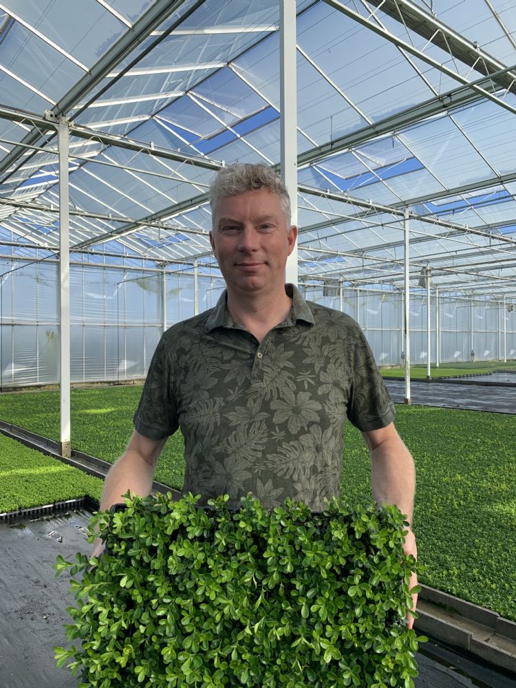 Vermeerderaar Wilbert van Luenen met een tray Freedom-planten in de kas van zijn bedrijf Wilbert Stek Vermeerderaar Wilbert van Luenen met een tray Freedom-planten in de kas van zijn bedrijf Wilbert Stek