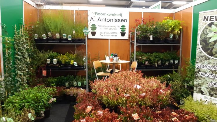 A. Antonissen is even elders in gesprek met collega's