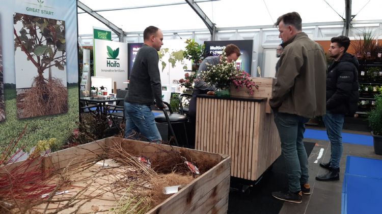 Verpaalen; gegronde focus op gezonde wortels Verpaalen; gegronde focus op gezonde wortels