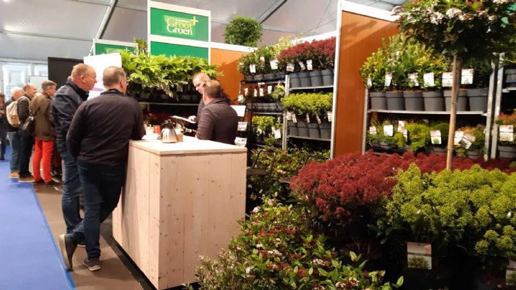 Bij Asra Plant, goed overleg met de stamgasten Bij Asra Plant, goed overleg met de stamgasten