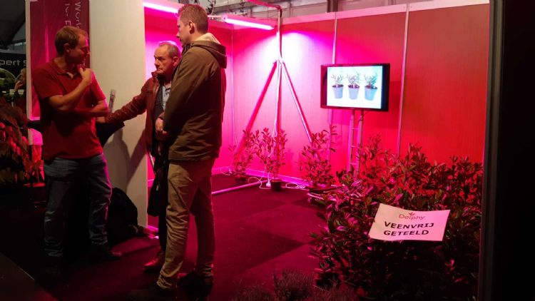 Bij Delphy staan veenreductie en LED licht centraal Bij Delphy staan veenreductie en LED licht centraal