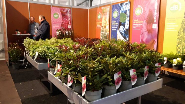 Cool botanic geconcentreerd in gesprek Cool botanic geconcentreerd in gesprek