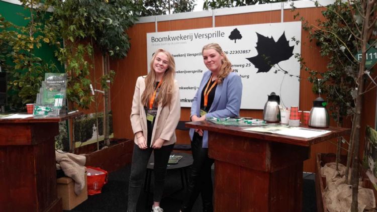 De dames van Versprille De dames van Versprille