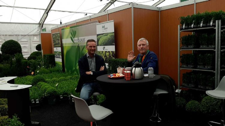 Didier Hermans van Herplant, met heeel veeel buxussen Didier Hermans van Herplant, met heeel veeel buxussen