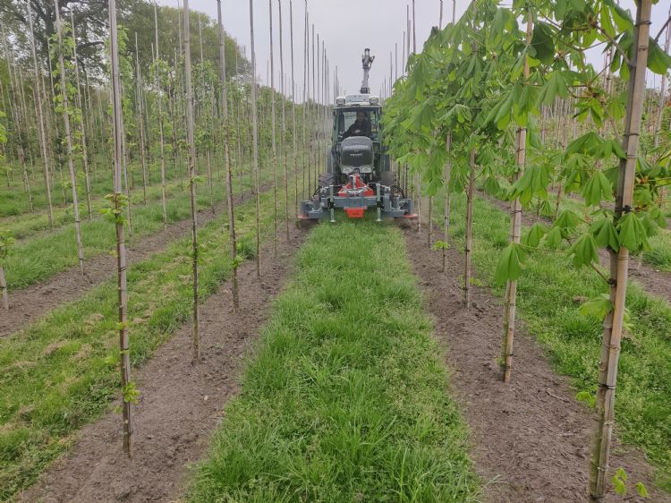 De Weedelete ZRS: interessant voor boomkwekerijen met groenstroken De Weedelete ZRS: interessant voor boomkwekerijen met groenstroken