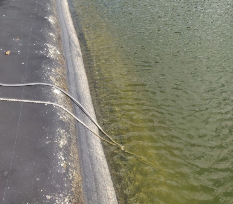 Het bassin na behandeling