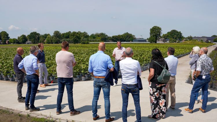 Foto: Treeport Zundert