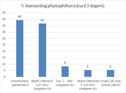 Phytophthora