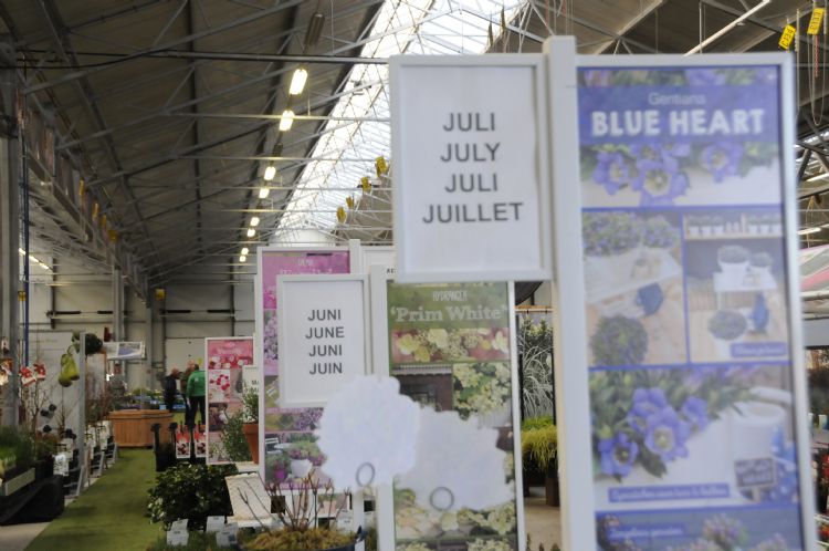 Het doel is dat je heel het verkoopseizoen goede handel op de vloer hebt staan Opstelling met kleine fruitbomen van De Fruithof Het doel is dat je heel het verkoopseizoen goede handel op de vloer hebt staan Opstelling met kleine fruitbomen van De Fruithof