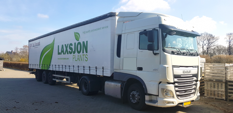 Laxjson Plants Laxjson Plants