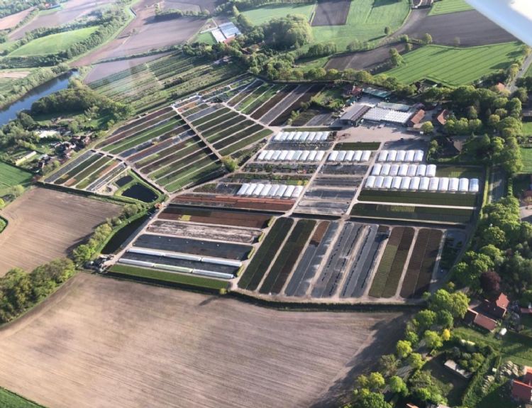 De kwekerij vanuit de lucht De kwekerij vanuit de lucht