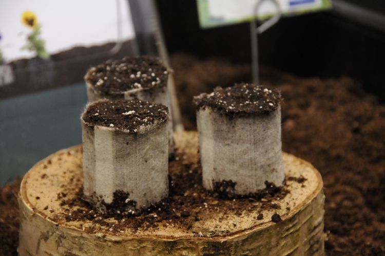 Vernieuwde stekpluggen van het Deense bedrijf Ellepot Vernieuwde stekpluggen van het Deense bedrijf Ellepot