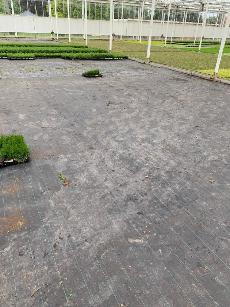 Gestolen planten bij Wilbert Stek