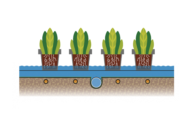 Beregening op een ErfGoedVloer Beregening op een ErfGoedVloer