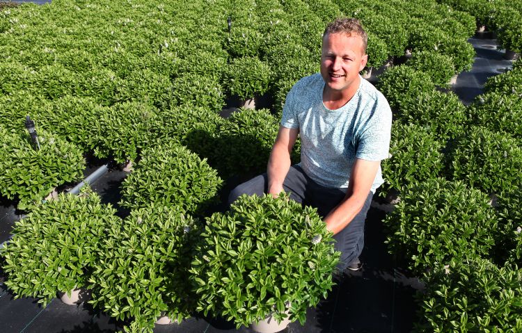 Kweker Ronald Roest werkt al lang samen met ErfGoed. Kweker Ronald Roest werkt al lang samen met ErfGoed.