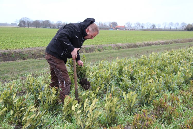 Wouter Veraart met zijn gewassen waartussen gerst te zien is Wouter Veraart met zijn gewassen waartussen gerst te zien is