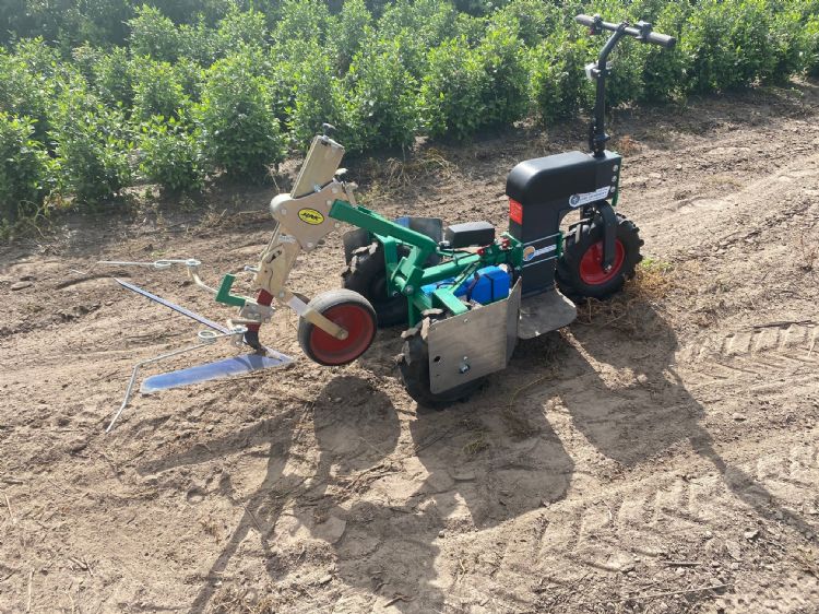 Torsiewieders/eggetanden aan weerszijden van de stevige ganzenvoetschoffel schrapen slepend het onkruid weg tot aan de tere stammen Torsiewieders/eggetanden aan weerszijden van de stevige ganzenvoetschoffel schrapen slepend het onkruid weg tot aan de tere stammen
