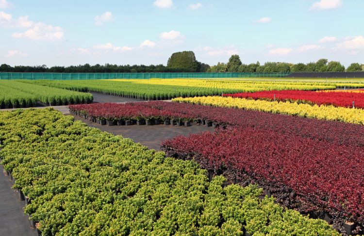 ErfGoed gaat uit van berekeningen van de water- en bemestingsbehoefte van de plant ErfGoed gaat uit van berekeningen van de water- en bemestingsbehoefte van de plant