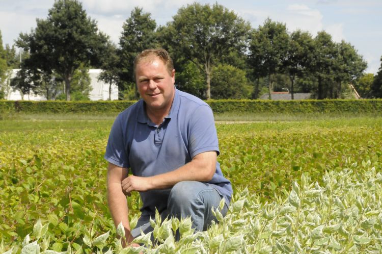 Henk de Bie van boomkwekerij Richard de Bie Henk de Bie van boomkwekerij Richard de Bie