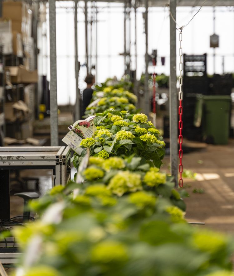 Foto: Jonkers Elshout Foto: Jonkers Elshout