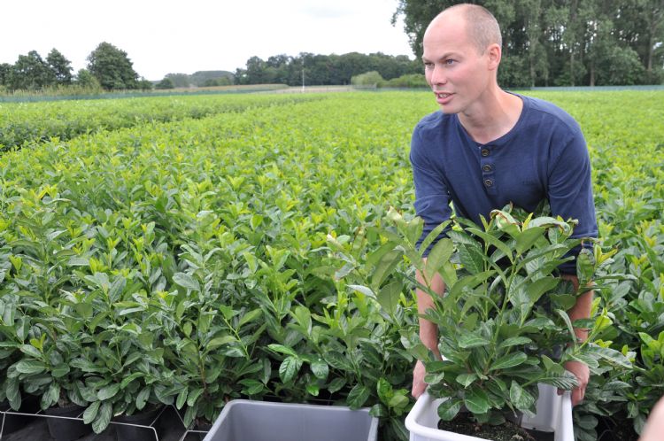 Koen van Poecke Koen van Poecke