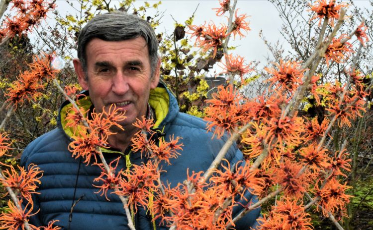 Wim van der Werf uit Boskoop