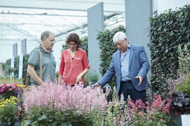 Garden Trials and Trade 2018