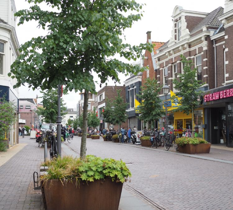 De Westzijde in Zaanstad Bron: Boomkwekerij Udenhout