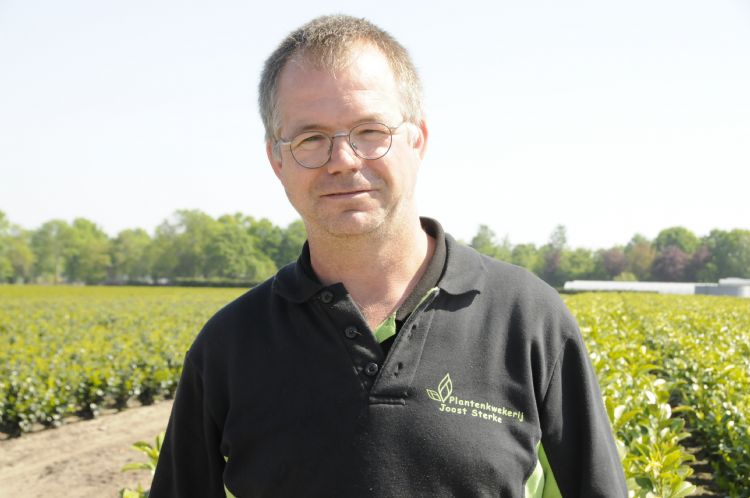 JOOST STERKE 