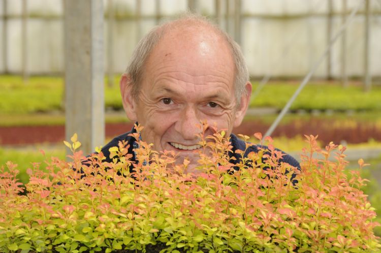 Kees de Jong Kees de Jong