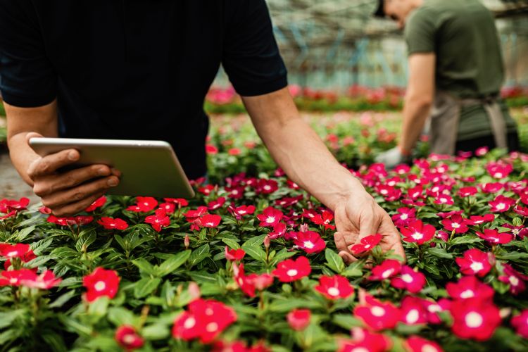 Efficiënter en beter telen met data 