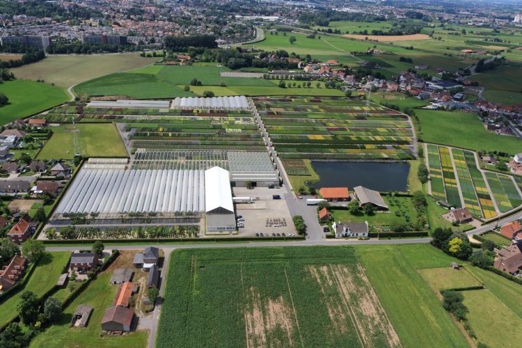 Locatie Waregem, waar ook het hoofdkantoor gevestigd is.