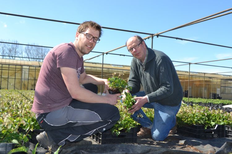archieffoto uit 2018 bij introductie Perennial Power Jan Willem Rotteveel (l) en Aad Vollebregt  (r) 