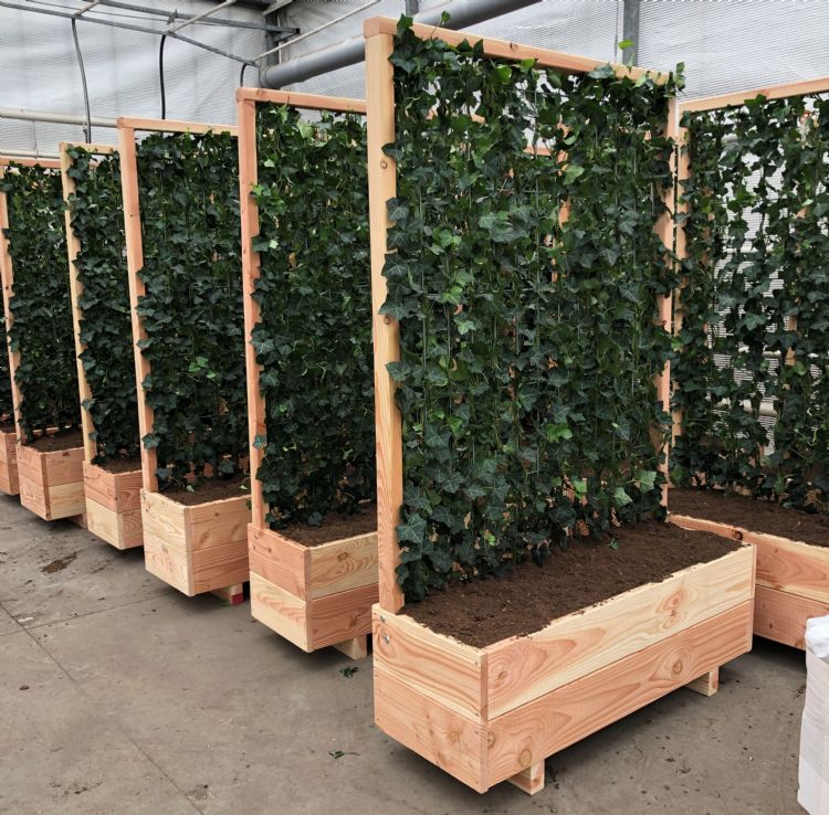 Voor deze speciale bestelling verzorgde Hedge to Go ook de bakken.