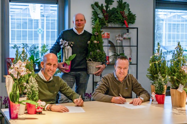 De Vreede Holland en Hulst Tuinplanten