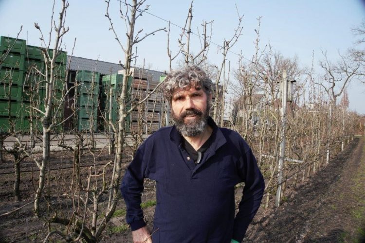 Harrie van den Elzen is biologisch-dynamisch fruitteler in Zeeland (NB). Hij teelt 5 hectare appel en 5 hectare peer