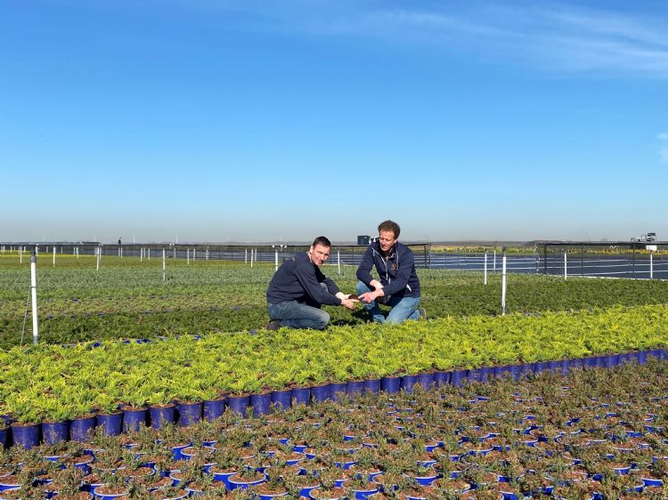  Wouter de Waal (teeltman bij Vredebest) en Hendrik Hak (algemeen directeur van Vredebest) 