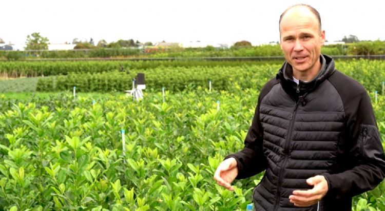 Maurice Kok van Syngenta Maurice Kok van Syngenta