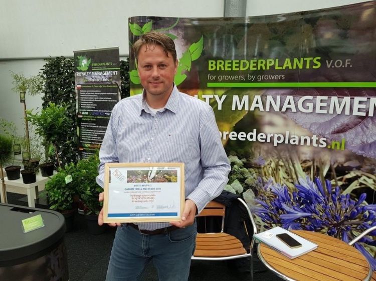 Ronald Laman (Breederplants): ‘De minihortensia’s van Breederplants zijn bijzondere selecties’