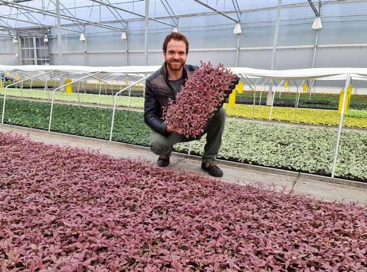 Chris Verpaalen met Cornus alba 'Miracle'. Foto: Peter van Rijssen (Plantipp)