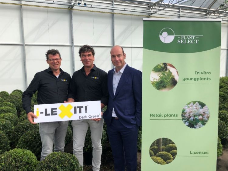 Alexander Van Oploo & Ronald Stolwijk van Ilex Concepts/i-LEXIT en Willem Broux van Plant Select.